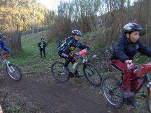 aotl 27112005 poussins 0255
