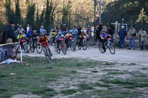 aotl 27112005 poussins_2928