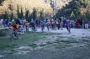 aotl 27112005 poussins_2930