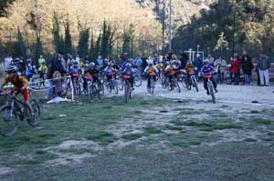 aotl 27112005 poussins_2931