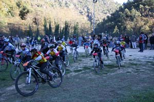 aotl 27112005 poussins_2935