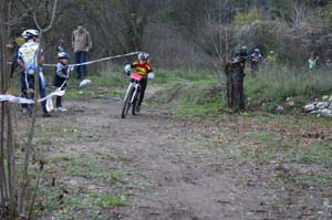 aotl 27112005 poussins_2944