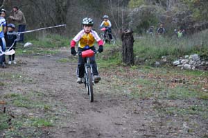 aotl 27112005 poussins_2954