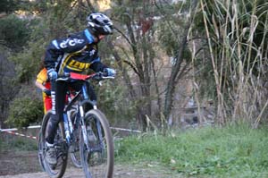 aotl 27112005 poussins_3011