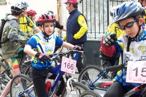 gattiere 2588
