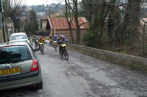 gattiere 2589
