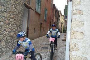 gattiere 2593