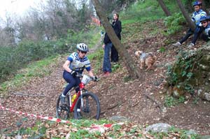gattiere 2611