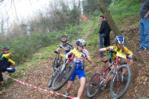 gattiere 2613