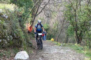 gattiere 2618