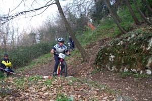 gattiere 2620