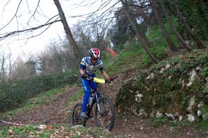 gattiere 2621