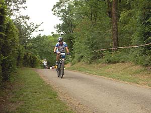 vtt national 2006 2733i