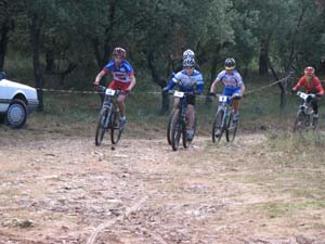 biot