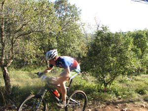 biot