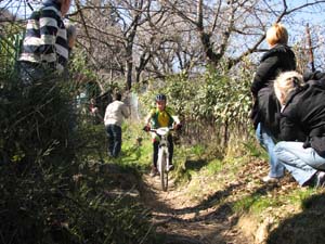 bar sur loup 2009 IMG_7623