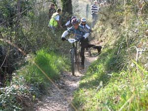 bar sur loup 2009 IMG_7673