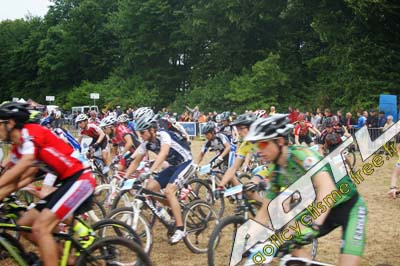 locminé 2013 (150)
