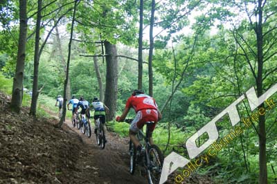 locminé 2013 (61)