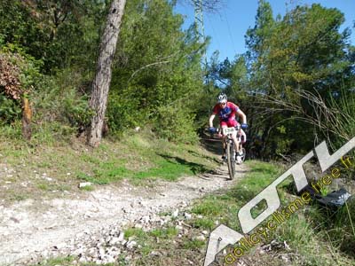 trjv aotl 2013 (10)