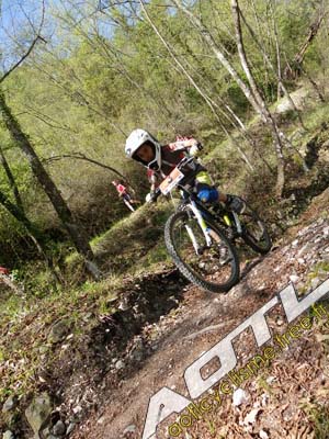 trjv aotl 2013 (141)