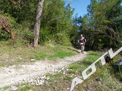 trjv aotl 2013 (16)