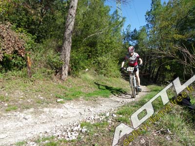 trjv aotl 2013 (17)