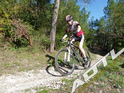 trjv aotl 2013 (18)
