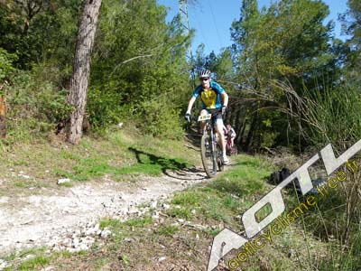 trjv aotl 2013 (20)