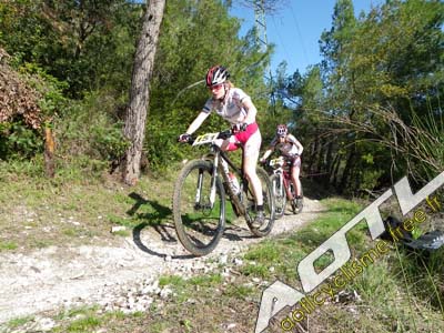 trjv aotl 2013 (23)