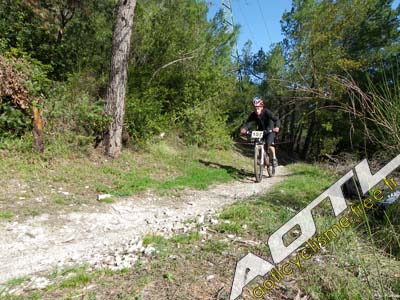 trjv aotl 2013 (25)
