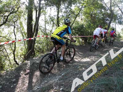 trjv aotl 2013 (3)