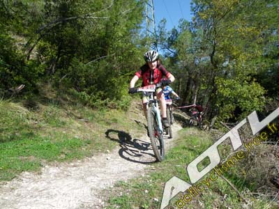 trjv aotl 2013 (42)