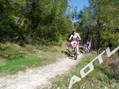 trjv aotl 2013 (45)