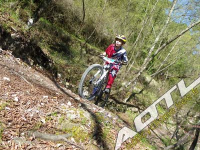 trjv aotl 2013 (84)
