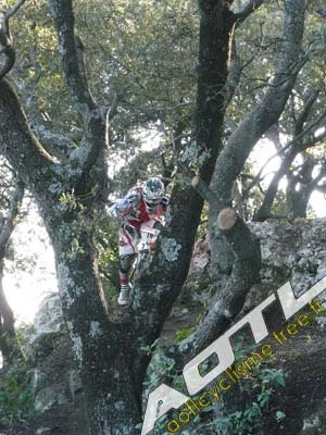 cochonduro 2014 (15)