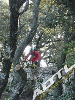 cochonduro 2014 (18)