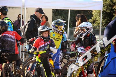 cochonduro 2014 (292)