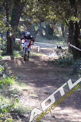 cochonduro 2014 (345)