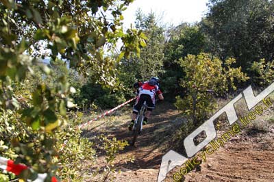 cochonduro 2014 (424)