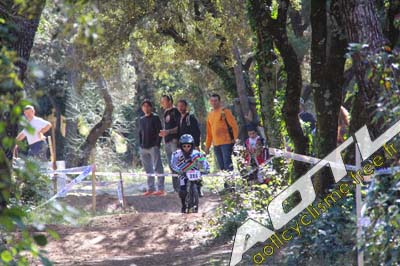 cochonduro 2014 (502)
