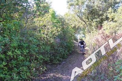 cochonduro 2014 (632)