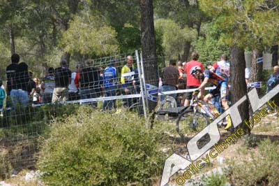 cassis (54)
