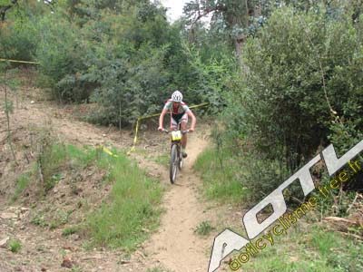 tanneron 2014 (10)