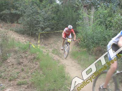 tanneron 2014 (13)