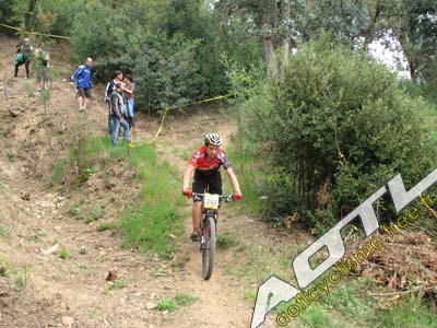 tanneron 2014 (182)