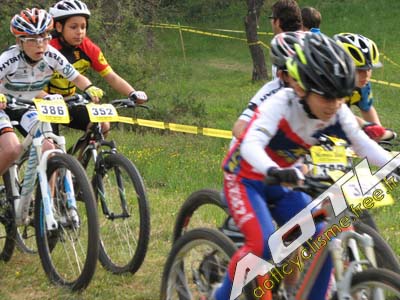 tanneron 2014 (219)