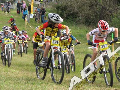 tanneron 2014 (222)