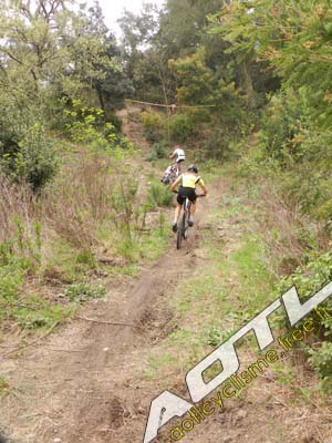 tanneron 2014 (48)