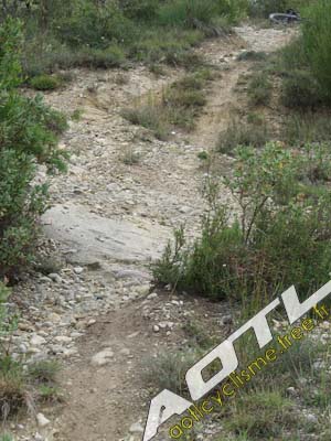 rallye de l avenir 22 06 2014 21 58 221861216